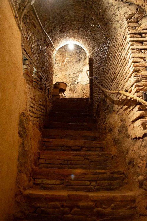 Visita bodega antigua en Toro